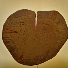 "LightLog" Wooden ambient wall light - Image 5