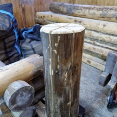 Swedish torch 100cm “large”